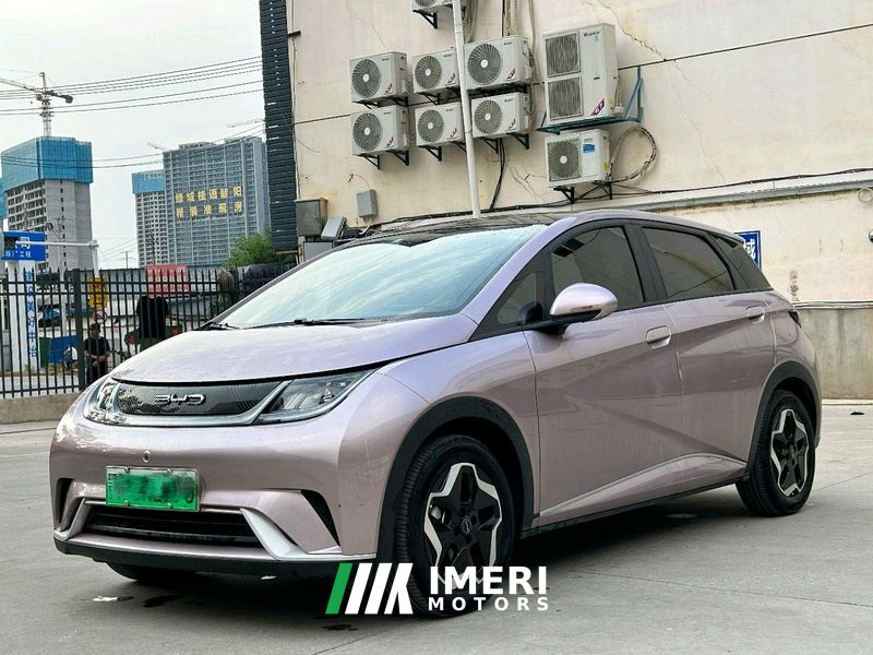 BYD Dolphin 405km Stylish Edition - car from China