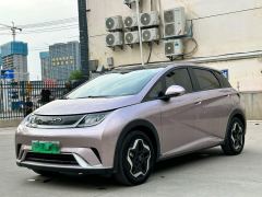 BYD Dolphin 405km Stylish Edition - photo 1