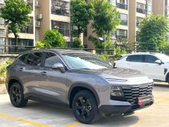 Jetour Jietu Dasheng Youth Edition 1.5T Double Clutch Deluxe Edition - фото 2