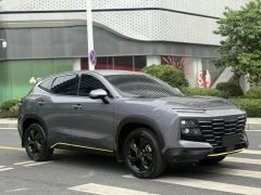Jetour Jietu Dasheng 1.5T Young - ფოტო 3
