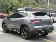 Jetour Jietu Dasheng 1.5T Young - ფოტო 4