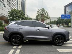 Jetour Jietu Dasheng 1.5T Young - ფოტო 7
