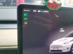 Tesla Model Y Facelift Rear-Wheel Drive - ფოტო 7