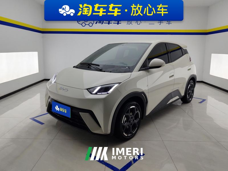 BYD Seagull 305km Free Version - ავტომობილი ჩინეთიდან