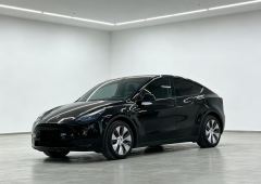 Tesla Model Y Facelift 545km Rear-Wheel Drive Edition - ფოტო 1
