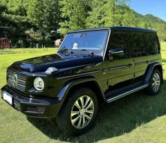 Mercedes-Benz G Class G-Class G 350 - фото 1
