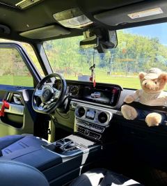 Mercedes-Benz G Class G-Class G 350 - фото 4