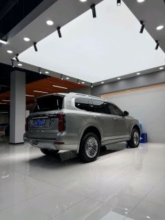 Tank 500 3.0T Business Edition 5 - фото 9