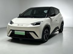 BYD Seagull 305km Free Version - ფოტო 1
