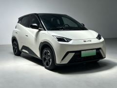 BYD Seagull 305km Free Version - ფოტო 3