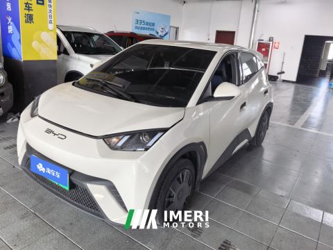 2023 BYD Seagull 305km Vitality Edition - car from China