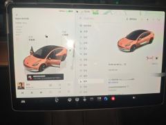 Tesla Model 3 556km Rear-Wheel Drive Edition - photo 20