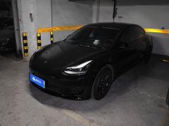 Tesla Model 3 Standard Range Edition 3D6 - photo 1