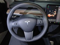 Tesla Model 3 Standard Range Edition 3D6 - photo 18