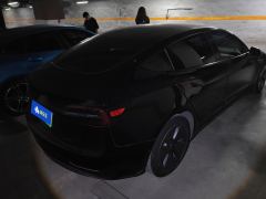 Tesla Model 3 Standard Range Edition 3D6 - photo 2