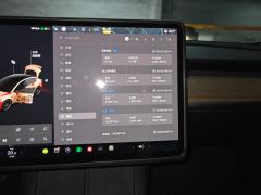 Tesla Model 3 Standard Range Edition 3D6 - photo 20