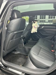 Audi A6L 45 TFSI Premium Dynamic - фото 4