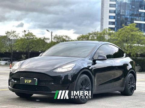 2022 Tesla Model Y Facelift 545km Rear-Wheel Drive Edition - автомобиль из Китая