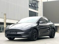 Tesla Model Y 554km Rear-Wheel Drive Edition - ფოტო 1
