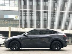 Tesla Model Y 554km Rear-Wheel Drive Edition - ფოტო 6