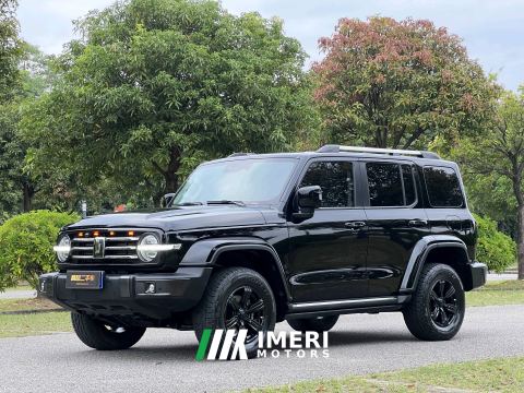 2021 Tank 300 City Edition 2.0T Essential - автомобиль из Китая
