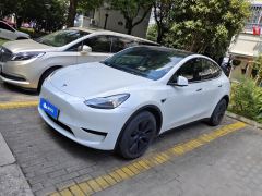 Tesla Model Y 554km Rear-Wheel Drive Edition - photo 1