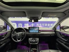 Lincoln Adventurer PHEV 1.5T AWD e Edition - ფოტო 5