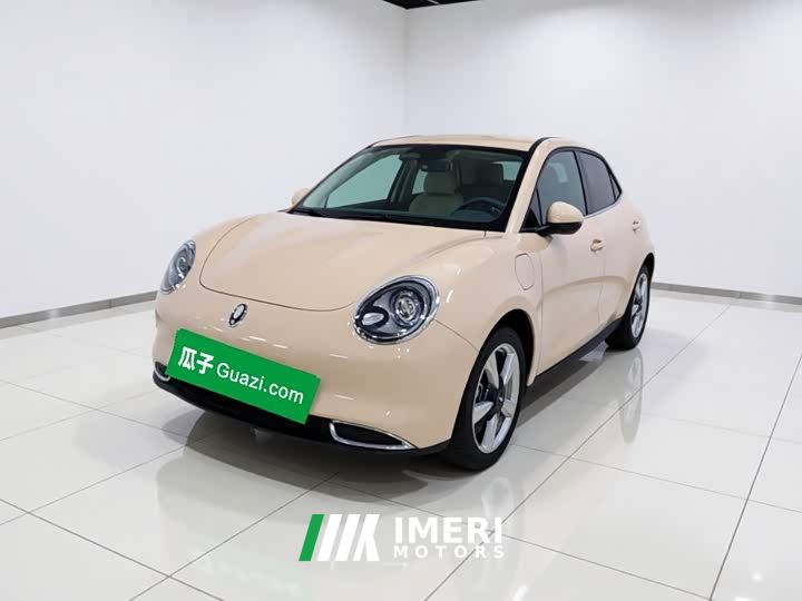 ORA Good Cat 401km Standard Range Luxury LFP - ავტომობილი ჩინეთიდან