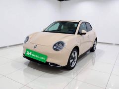 ORA Good Cat 401km Standard Range Luxury LFP - ფოტო 1