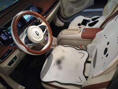 ORA Good Cat 401km Standard Range Luxury LFP - ფოტო 11