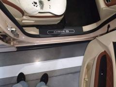 ORA Good Cat 401km Standard Range Luxury LFP - ფოტო 19