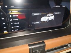 ORA Good Cat 401km Standard Range Luxury LFP - ფოტო 20