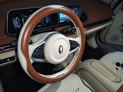 ORA Good Cat 401km Standard Range Luxury LFP - ფოტო 6