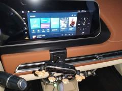 ORA Good Cat 401km Standard Range Luxury LFP - ფოტო 9
