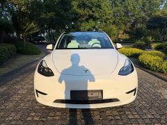 Tesla Model Y Rear-Wheel Drive - фото 1