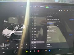 Tesla Model Y Rear-Wheel Drive - фото 10