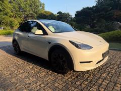 Tesla Model Y Rear-Wheel Drive - фото 3