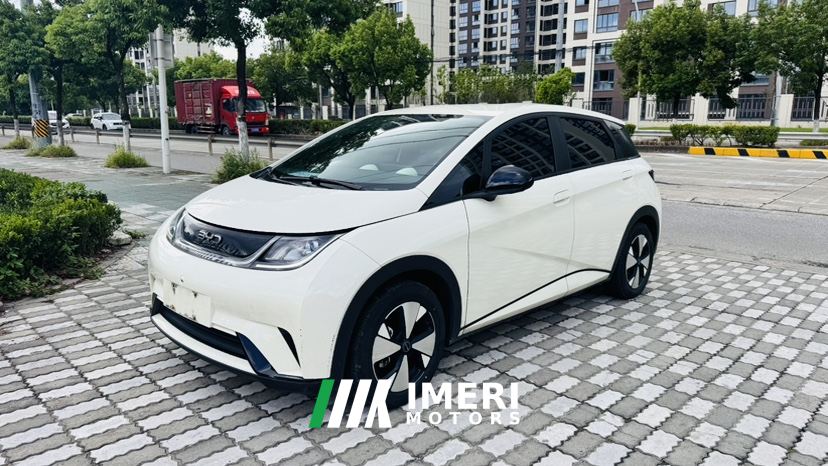 BYD Dolphin Smart Driving Edition 420km Free Version - ავტომობილი ჩინეთიდან
