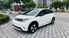 BYD Dolphin Smart Driving Edition 420km Free Version - ფოტო 1