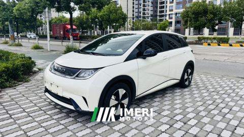 2025 BYD Dolphin Smart Driving Edition 420km Free Version - car from China