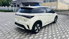 BYD Dolphin Smart Driving Edition 420km Free Version - ფოტო 5