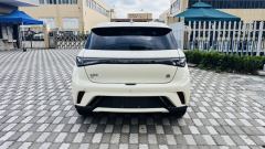 BYD Dolphin Smart Driving Edition 420km Free Version - ფოტო 6