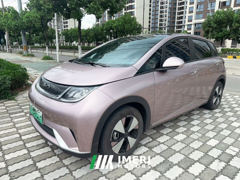 BYD Dolphin 420km Stylish Edition - car from China