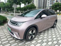 BYD Dolphin 420km Stylish Edition - photo 1