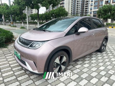 2025 BYD Dolphin 420km Stylish Edition - car from China