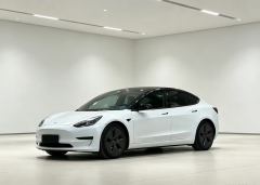 Tesla Model 3 606km Rear-Wheel Drive Edition - photo 1