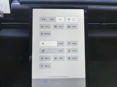 Xpeng P5 500Plus - photo 11