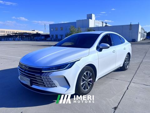 2024 BYD Destroyer 05 DM-i Honor Edition 1.5L 55km Luxury Edition