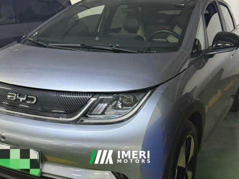 2023 BYD Dolphin 420km Stylish Edition - ავტომობილი ჩინეთიდან