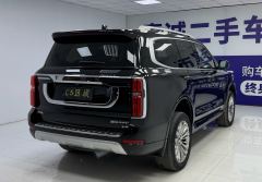 Tank 500 3.0T Edition 5 - photo 10